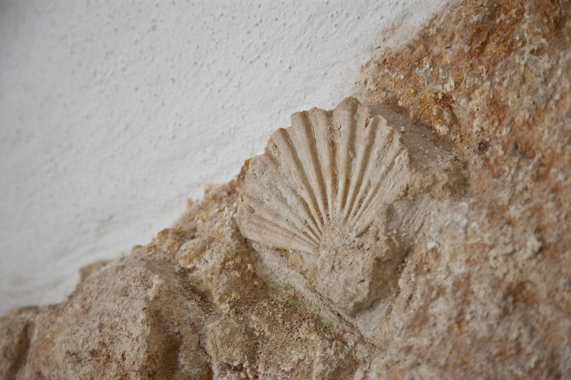 Grottammare Apartamento Polignano a Mare Exterior foto